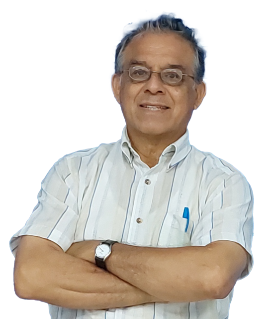 Ing. Fernando Zapata